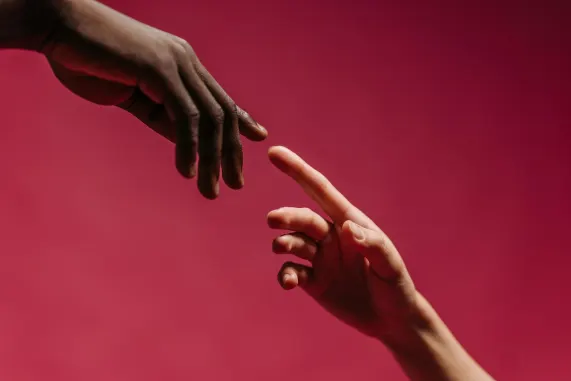 بينجو كوم كازينو الدعم